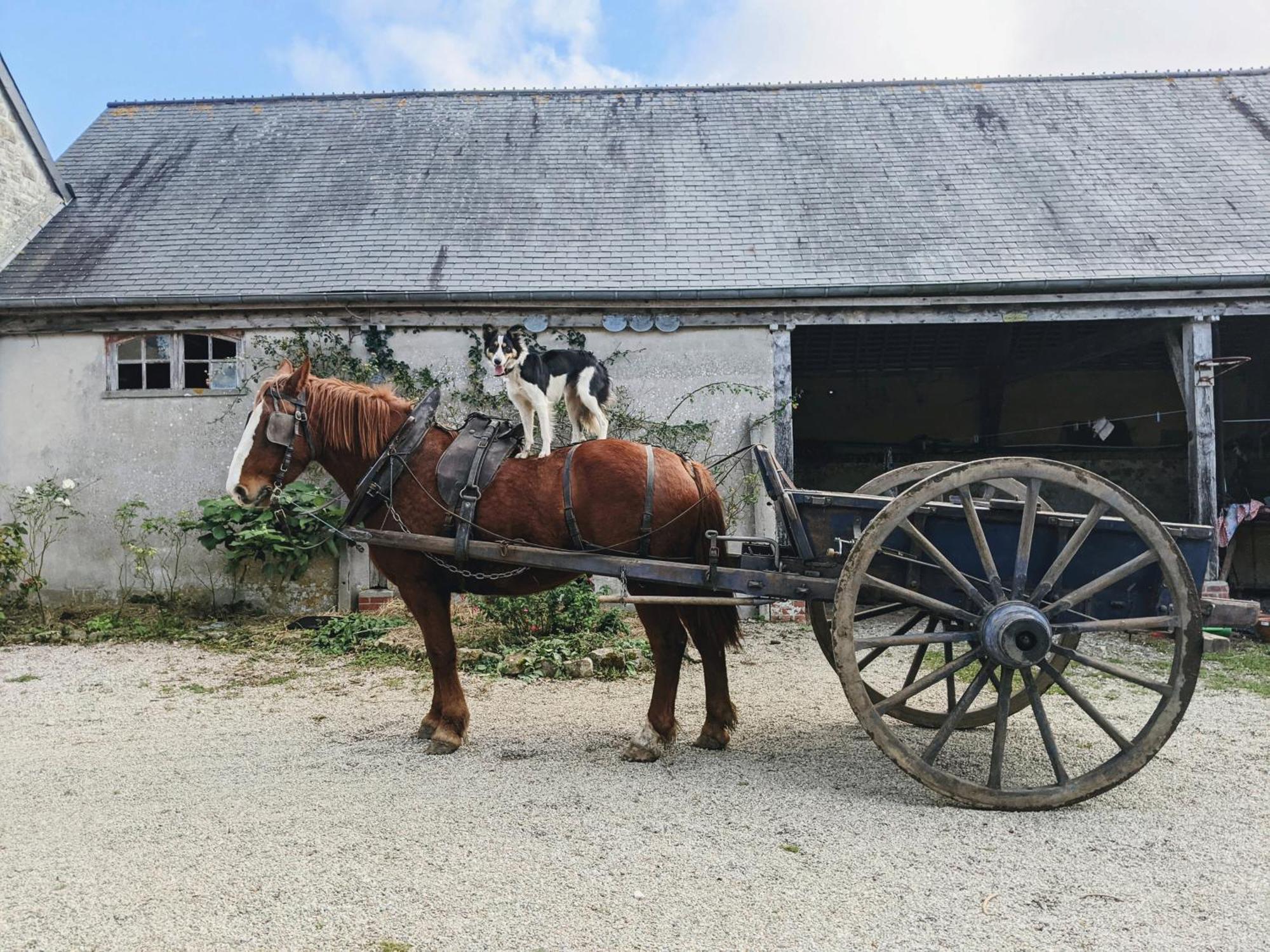 Ferme De Franqueville Sainte-Marie-du-Mont  Exterior photo