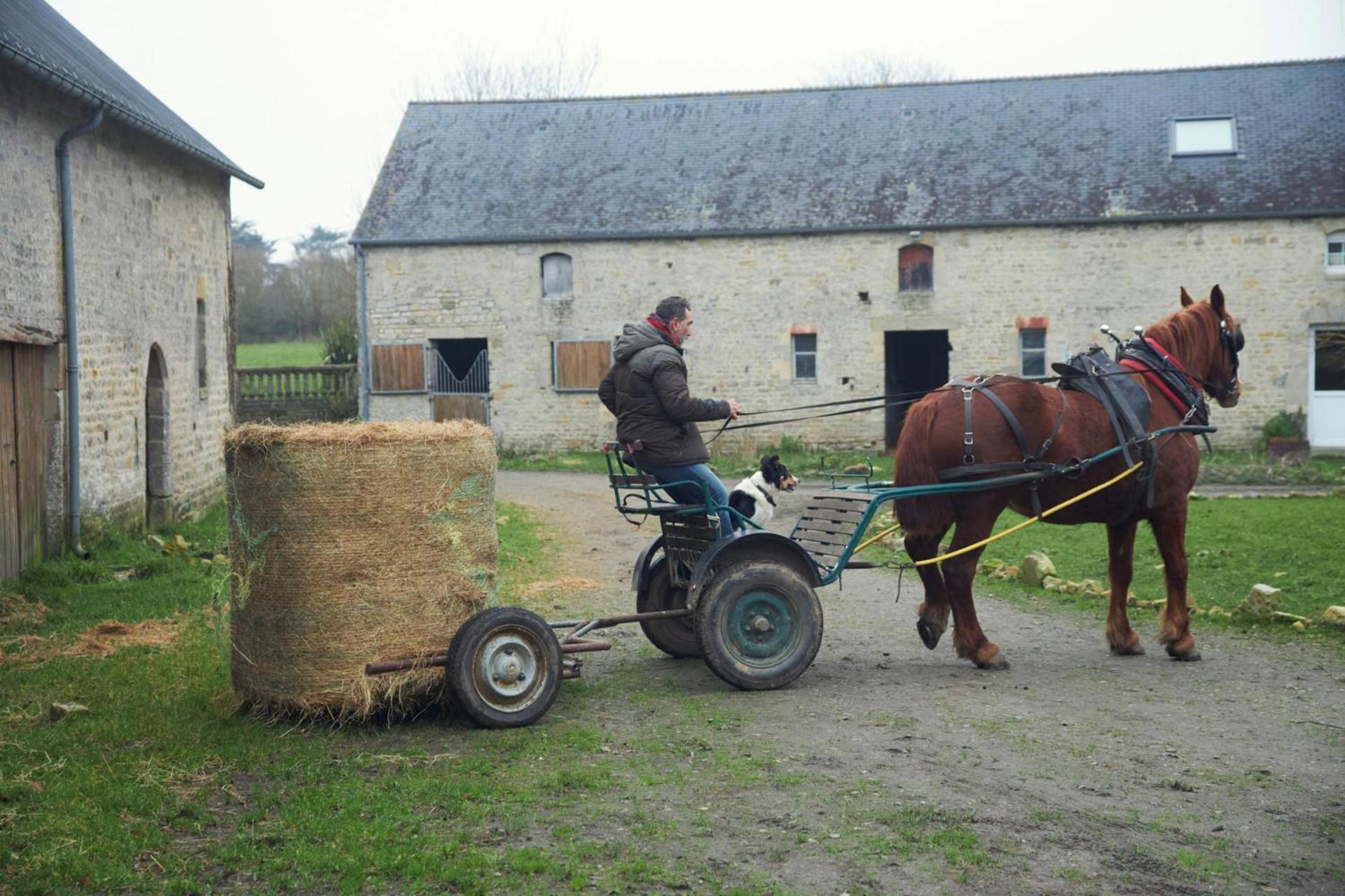 Ferme De Franqueville Sainte-Marie-du-Mont  Exterior photo